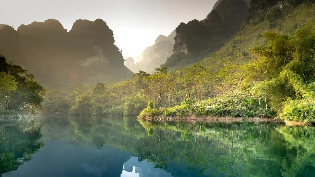 高端智慧全自动
